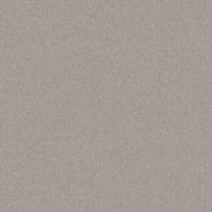 YOUR COMFORT I by Shaw Floors - Shoreline Haze
