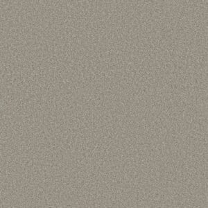TRUSOLUTIONS II by Shaw Floors - Stone Path