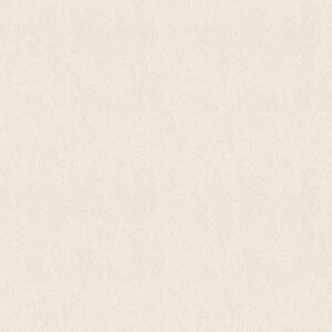 YOUR COMFORT II by Shaw Floors - Clean Linen