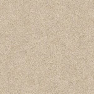 YOUR COMFORT II by Shaw Floors - Dinner With Friends