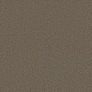 RENEWED ENERGY I by Shaw Floors - Fence Post