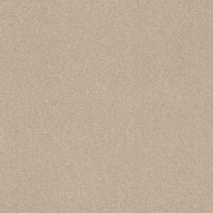 SOLIDIFY II 12' by Shaw Floors - Bleached