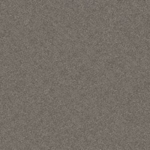 GO AFTER IT 1 by Shaw Floors - Dockside