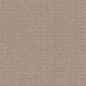TRANSFORM by Shaw Floors - Sand Swept