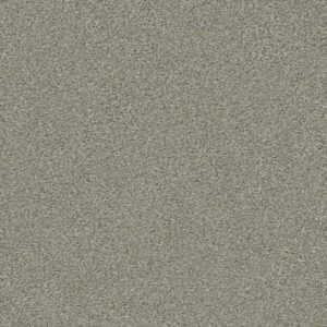MONTAGE I by Shaw Floors - Tempting Taupe
