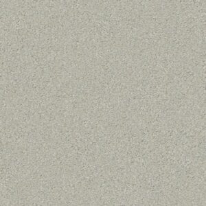 MONTAGE II by Shaw Floors - River Rock