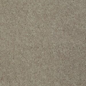 CHALLENGE ACCEPTED II 12 by Shaw Floors - Natural Beige