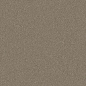 WHY NOT ME by Shaw Floors - Barn Wood