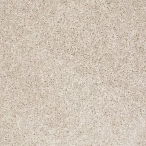 COLESVILLE 12' by Shaw Floors - Sailcloth