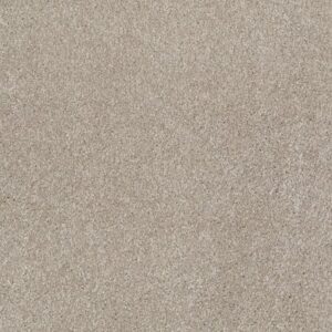 PERFECTLY TIMED by Shaw Floors - Coastal Fog