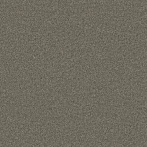 YOU GOT THIS III by Shaw Floors - Rerooted Nature