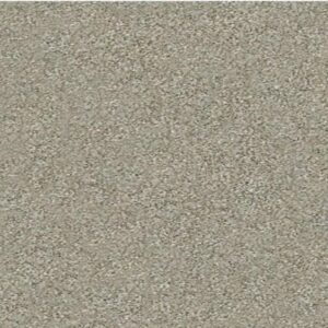 GO AFTER IT 4 by Shaw Floors - Spinning Wheel