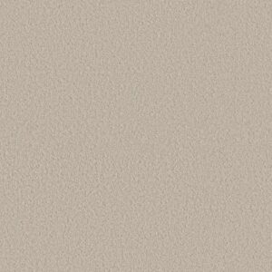 AERIAL VIEW by Shaw Floors - Canvas