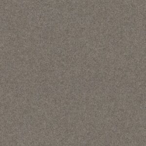 COZY HARBOR II by Shaw Floors - Ridgeview