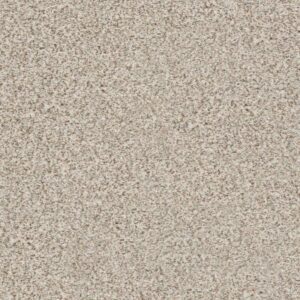 FIND YOUR COMFORT TA I by Shaw Floors - Stage Lights (A
