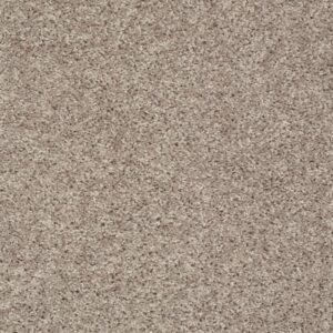 GO BIG by Shaw Floors - Glimmer