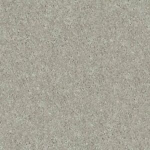 DESIGNER'S CHOICE by Shaw Floors - Wild Rice