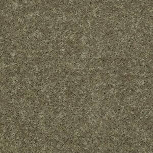 DREXEL HILL III 12' by Shaw Floors - Aloe