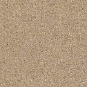 MY INSPIRATION PATTERN by Shaw Floors - Latté