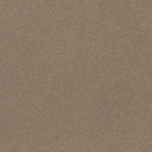 FIND YOUR COMFORT TT II by Shaw Floors - Camping Trip (T)