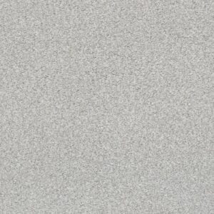 FIND YOUR COMFORT TT II by Shaw Floors - Dreamy (T)