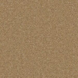 QUIET COMFORT II by Shaw Floors - Navajo