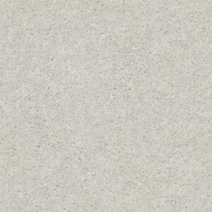 CABANA LIFE SOLID by Shaw Floors - Ice