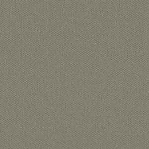 INFALLIBLE INSTINCT by Shaw Floors - Silhouette