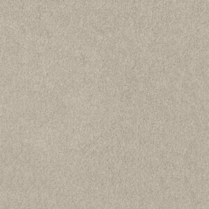 ORIGINS II by Shaw Floors - Mist