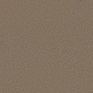 ELEMENTAL MIX I by Shaw Floors - Arrowhead