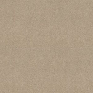 YOU KNOW IT by Shaw Floors - French Canvas
