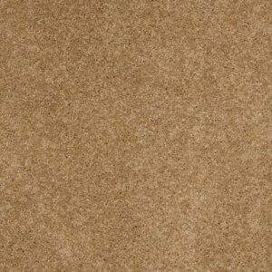 ENDURING COMFORT II by Shaw Floors - Honey Pot