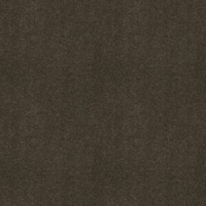 MY INSPIRATION III by Shaw Floors - Chocolate