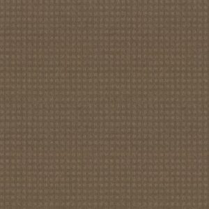 THE FAIR by Shaw Floors - Toffee