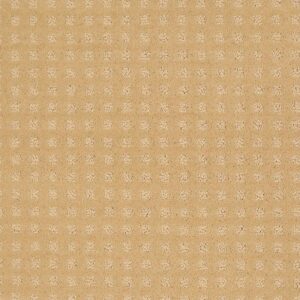 THE FAIR by Shaw Floors - Butter Cream
