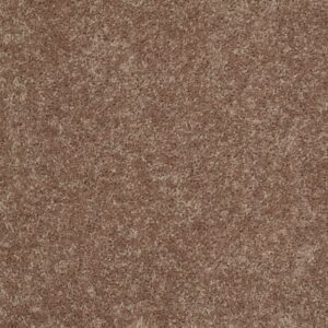ROYAL PORTRUSH I 15 by Shaw Floors - Granola
