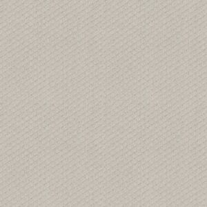 FORMALIZE by Shaw Floors - Winters Dawn