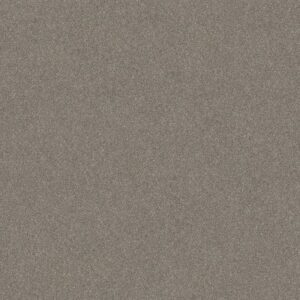 WITHOUT LIMITS II by Shaw Floors - Abalone