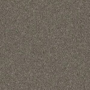 WITHOUT LIMITS III by Shaw Floors - Misty Mica
