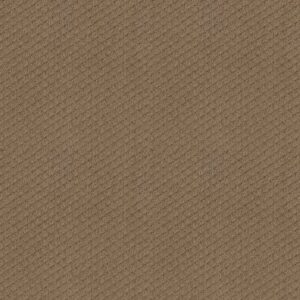 FORMALIZE by Shaw Floors - Raw Wood