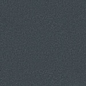 YOU GOT THIS II by Shaw Floors - Refined