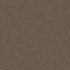 YES YOU CAN II 12' by Shaw Floors - Mission Ridge