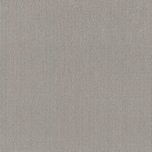 FEISTY by Shaw Floors - Stone Path