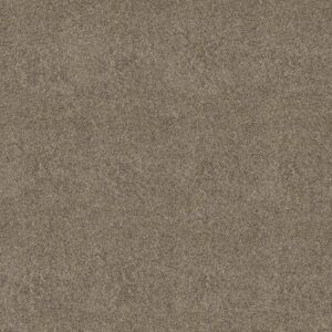 ARTISTIC FUSION I by Shaw Floors - Honeycomb