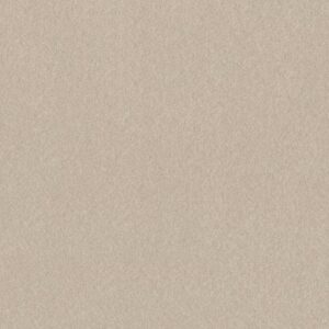 HARD AT PLAY III 12' by Shaw Floors - Warm Light