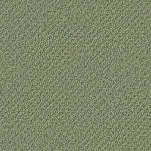 TRUE REFLECTIONS LOOP by Shaw Floors - Bay Laurel