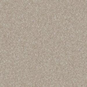 MOMENT OF TRUTH by Shaw Floors - Coastal Fog