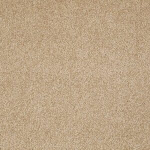 MOMENT OF TRUTH by Shaw Floors - Oakwood