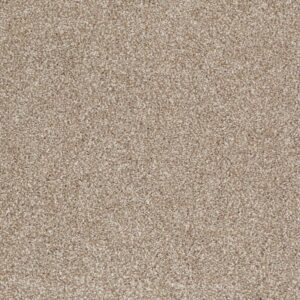 OPPORTUNITY KNOCKS by Shaw Floors - Mole Hill