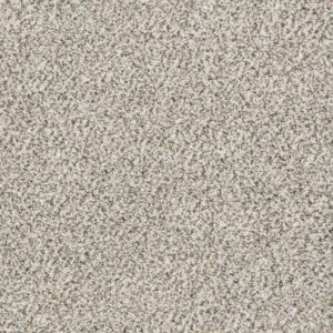 ALL SET I by Shaw Floors - Smoky Gray